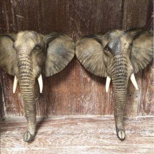 Wanddecoratie Olifant