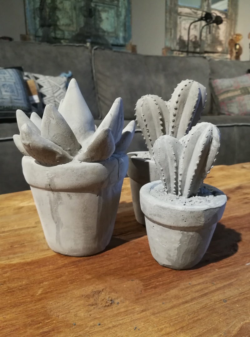 Betonnen Cactussen Betonnen Cactussen