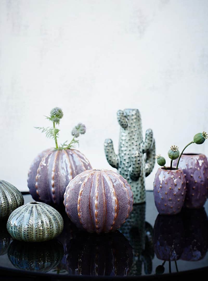 Cactus vaas Cactus-vaas