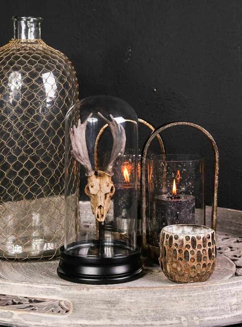 Dome-skull-black-jar-moose Dome-skull-black-jar-moose