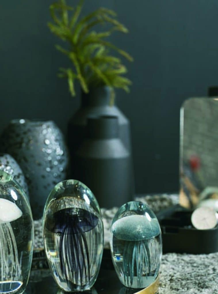 Glass-Ball-Jellyfish-758x1024 Glass-Ball-Jellyfish-758×1024