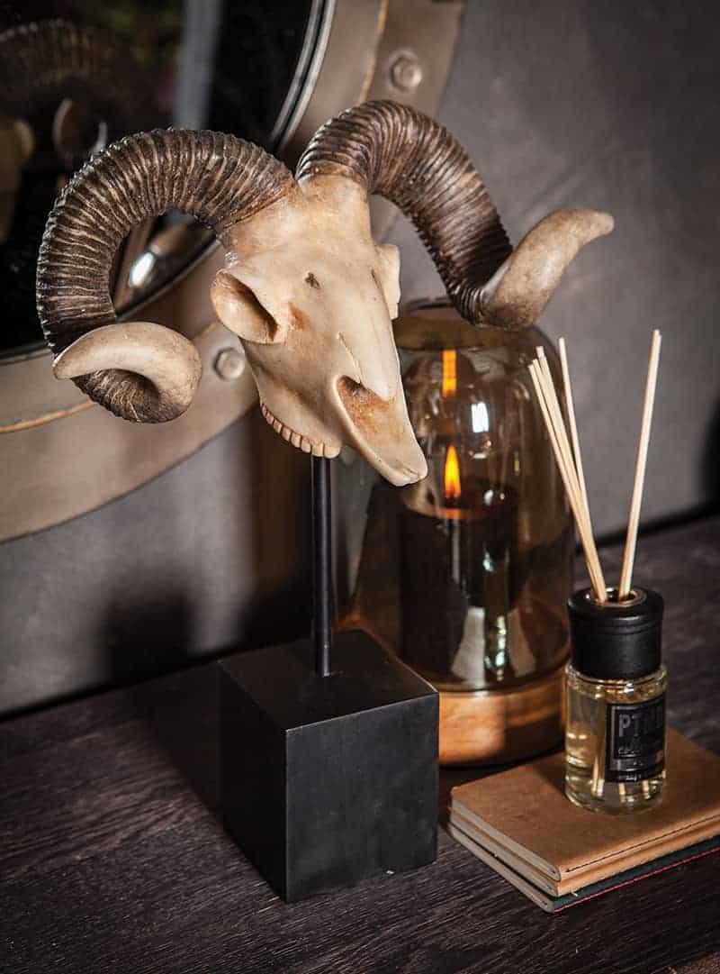 Skull-Poly-natural-statue-with-wooden-foot Skull-Poly-natural-statue-with-wooden-foot