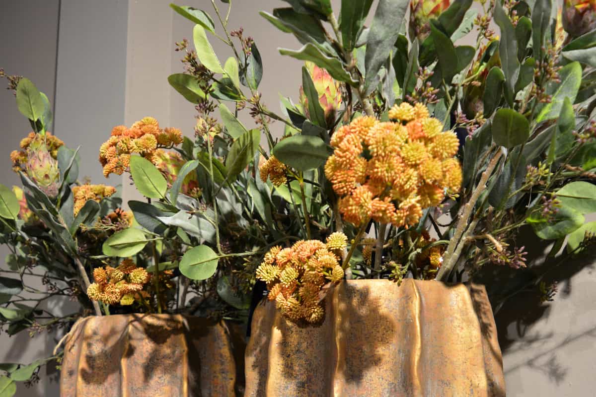 zijdebloemen - protea repens Zijde bloemen