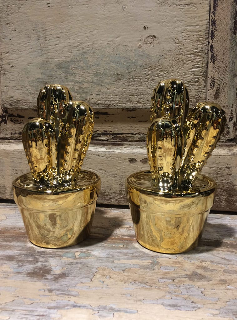 Cactus-goud2-S-758x1024 Cactus-goud2-S-758x1024