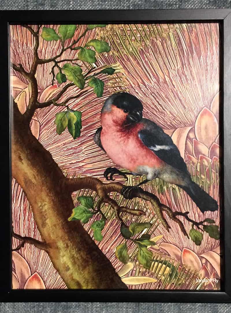 poster-roze-vogel poster-roze-vogel