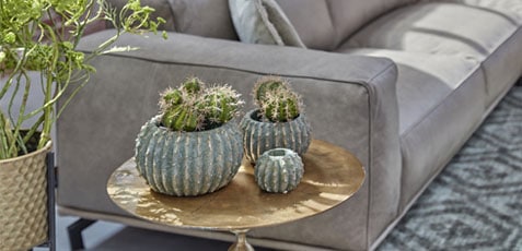 botanisch-interieur-pure-wood