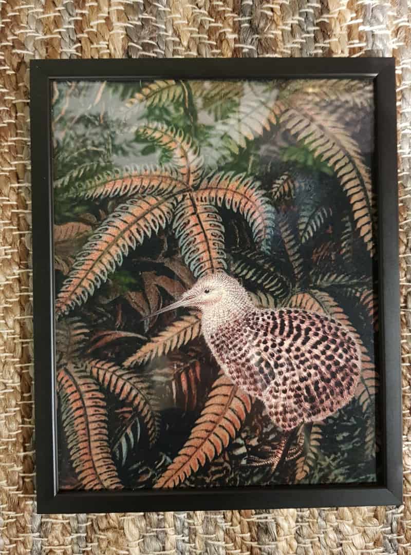 poster-jungle poster-jungle