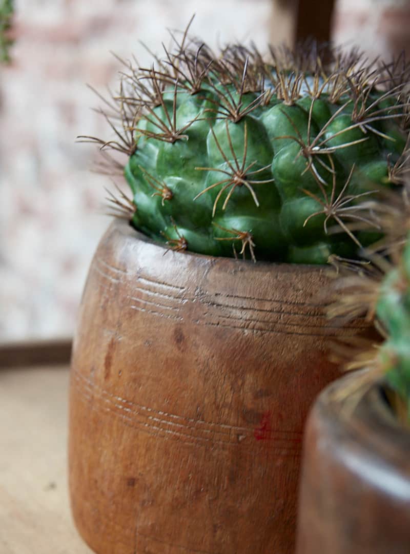 Pot-hout-uniek-Pure-Wood Pot-hout-uniek-Pure-Wood