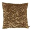 claudi rosia camel