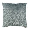claudi speranza ijs blauw stippen