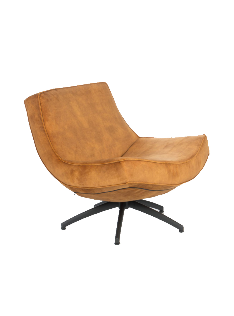 Diplomatie Destructief Omgeving Fauteuil Hidde - Pure Wood