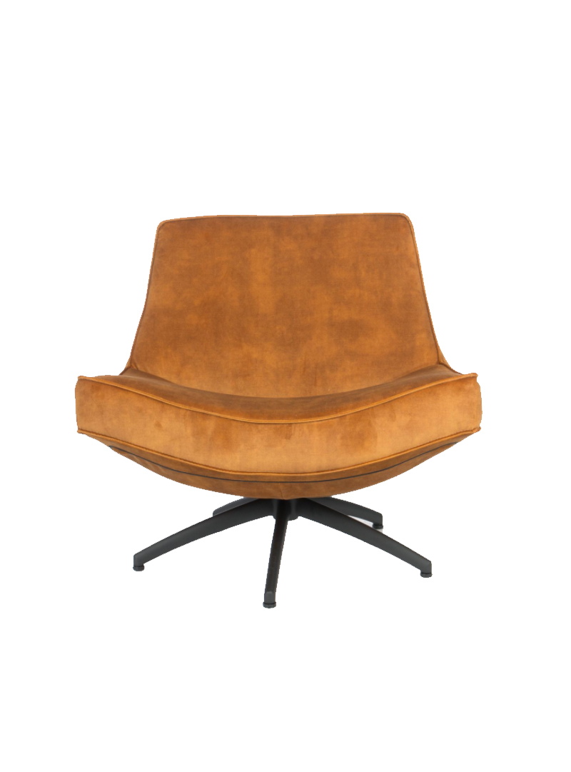 Diplomatie Destructief Omgeving Fauteuil Hidde - Pure Wood