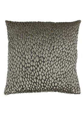 claudi brown speranza