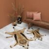 Doing-goods-vloerkleed-springbok-S