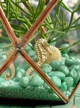 doing-goods-kastknop-zeepaard