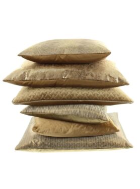 claudi paulina brons