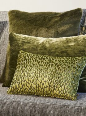 claudi speranza mustard