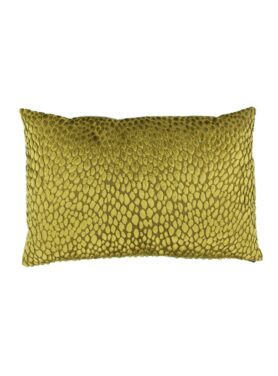 claudi speranza mustard