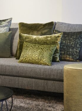 claudi speranza mustard