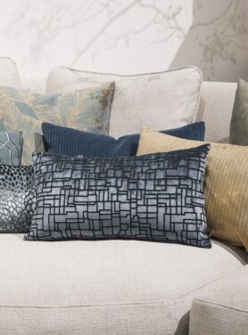 claudi stansie petrol