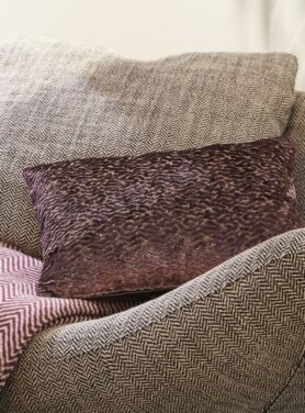 claudi taddeo aubergine