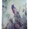 Peacock Product