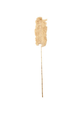 Tropical bali stick4