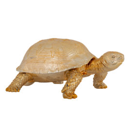 Decoratie box schildpad goud richmond