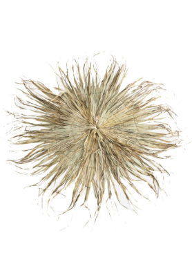 Madam Stoltz Wandhanger Palm Leaf Rond Kopie