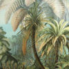Wandkleed Palm botanisch