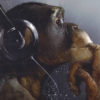 wandkleed aap met koptelefoon