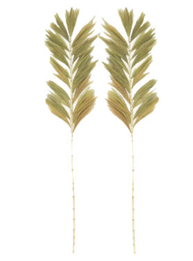 Doing Goods Palmtak Wavy naturel