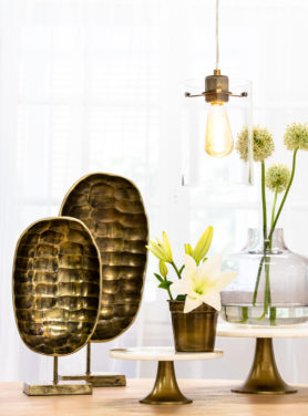 ornamenten schildpad schild brons