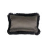 Dafne Olive Claudi Sierkussen 2