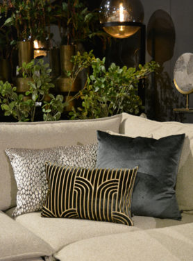 Claudi Craylon Dark Mint Exclusive