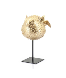 gouden puft vis op zwart standaard