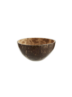 Coconut Shell Bowl