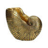 Schelpen Bloempot