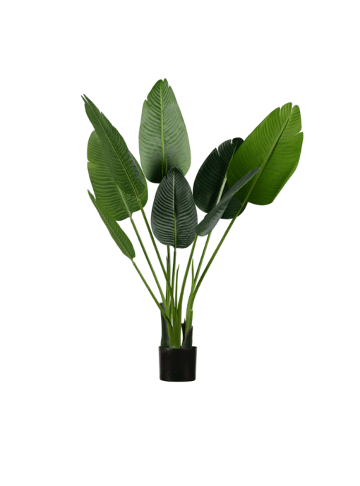 Kunstplant Strelitzia