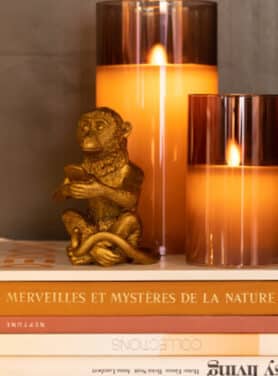 Ledlamp Kaars Gecombineerd Met Stappel Boeken En Goud Aapje