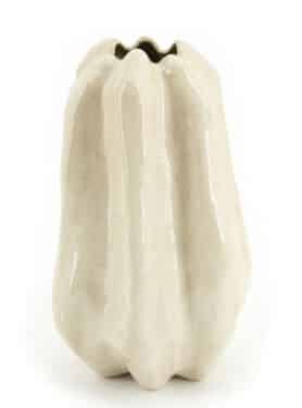 Lage Beige Vaas Bloem Vorm