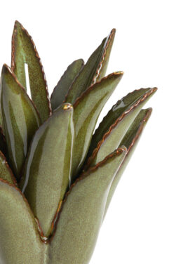 Cactus Donkergroen Kandelaar