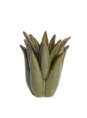 Kandelaar Donkergroen Cactus