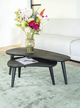 Zwarte 2 Delige Houten Salontafel