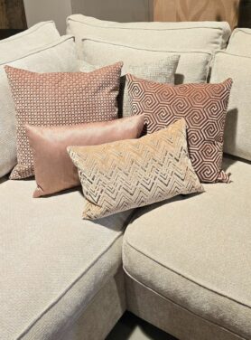 Claudi Sierkussens Ash Rose