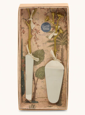 Gouden Taartopschepper En Mes In Verpakking