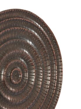 Antiek Koper Met Zwarte Voet Rond Metaal