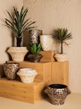 Ovaal Pot Van Papier Met Schelp Effect