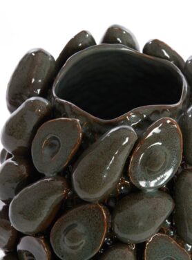Donkergroen Bruine Vaas Met Avocado