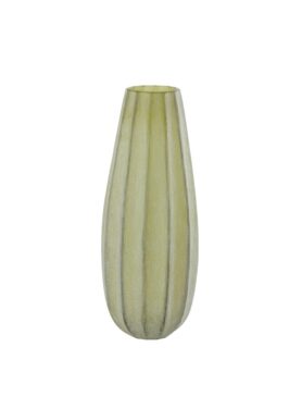 Olijf Groenen Bradley Vaas Van Gls